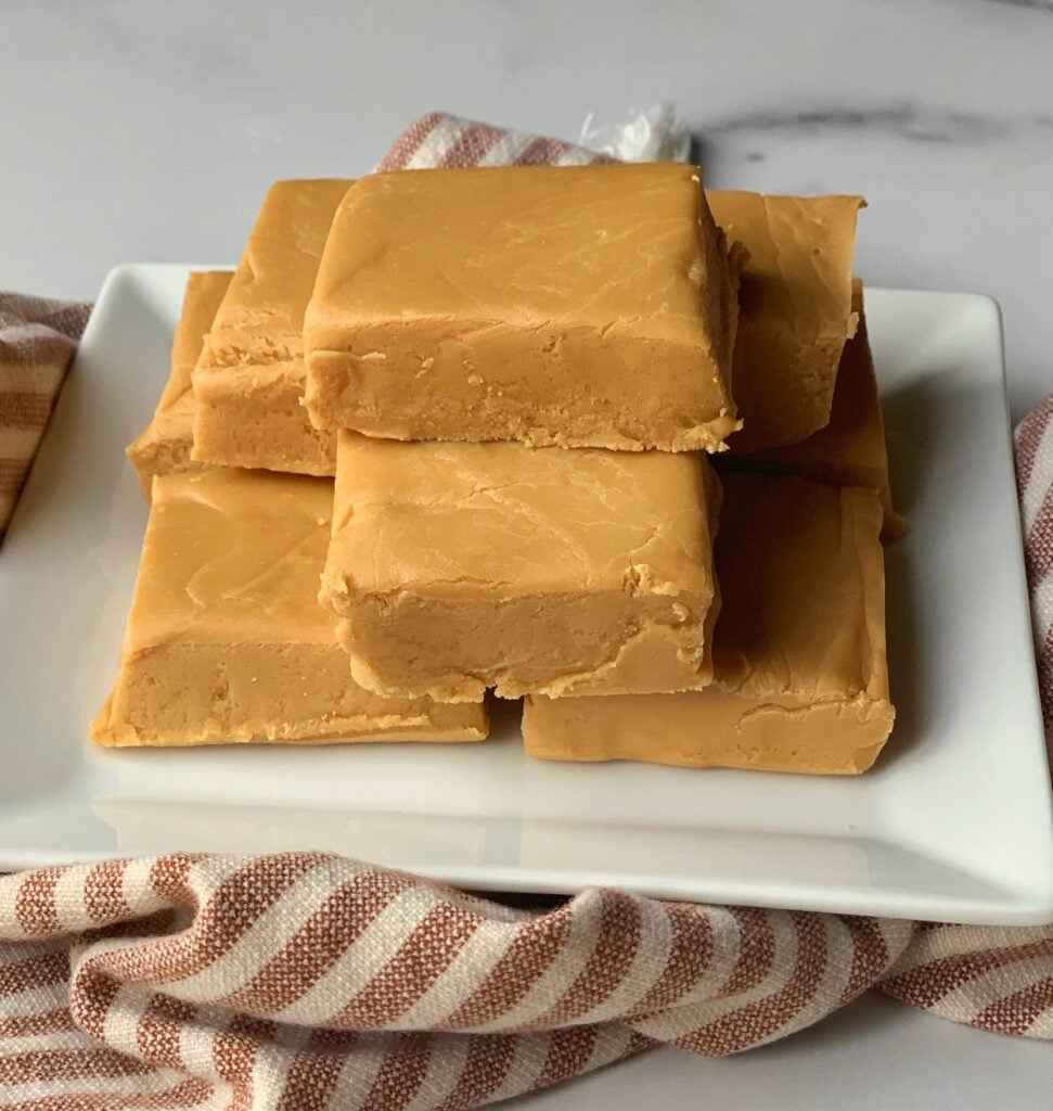 Squares of fudge on a white plate