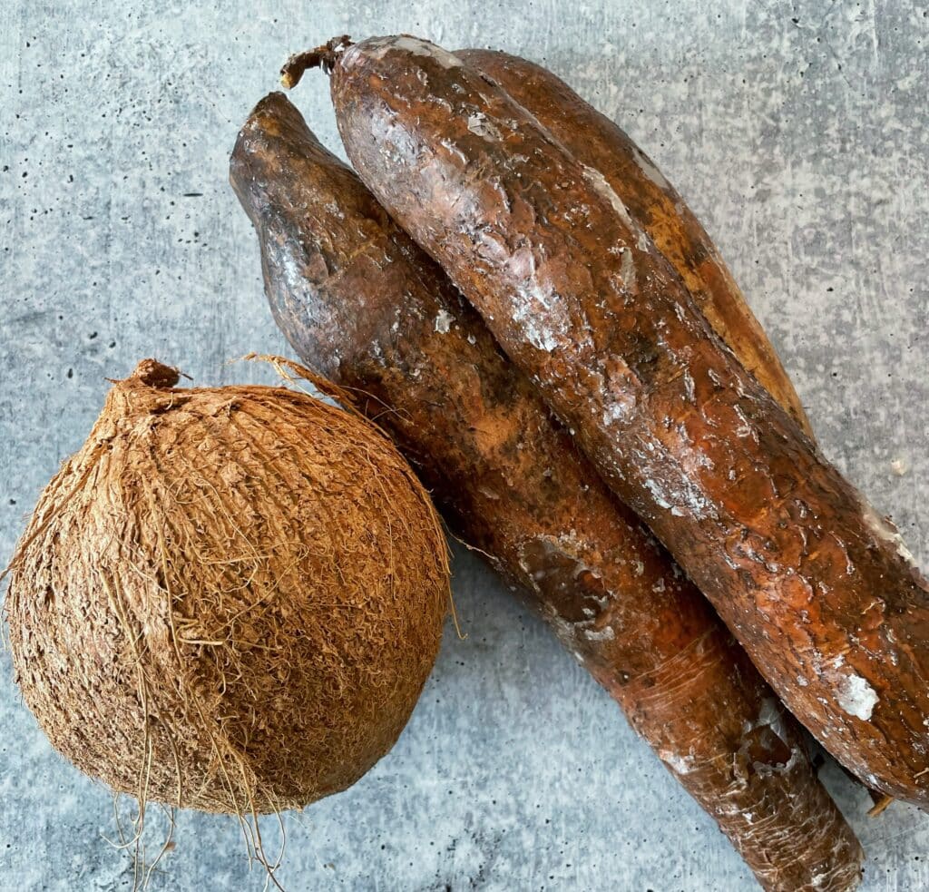 coconut and cassava side by side