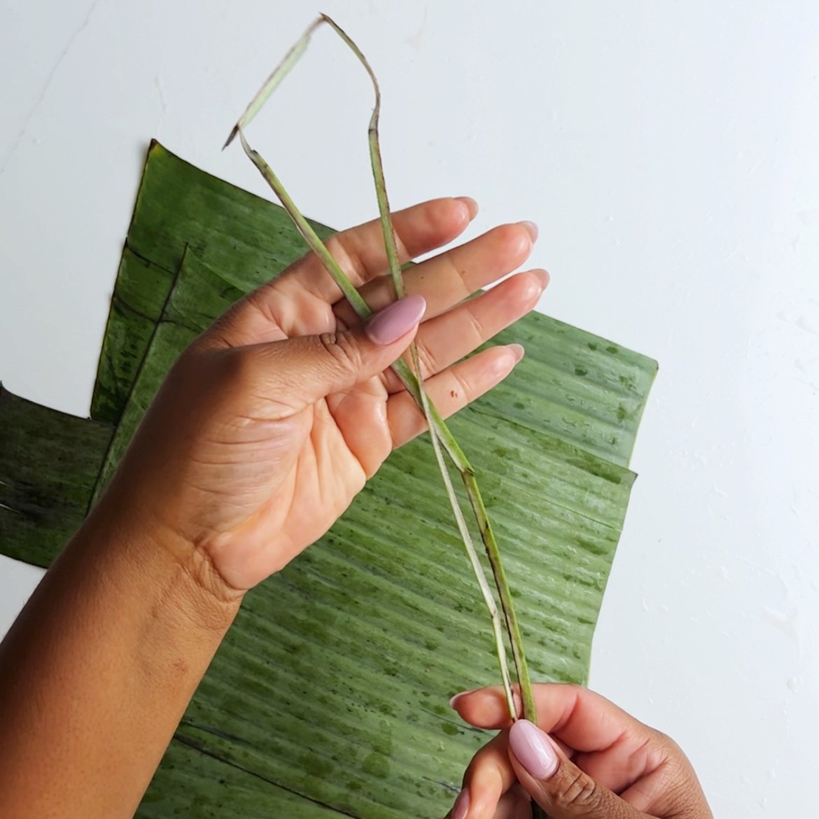 getting the string from a banana leaf