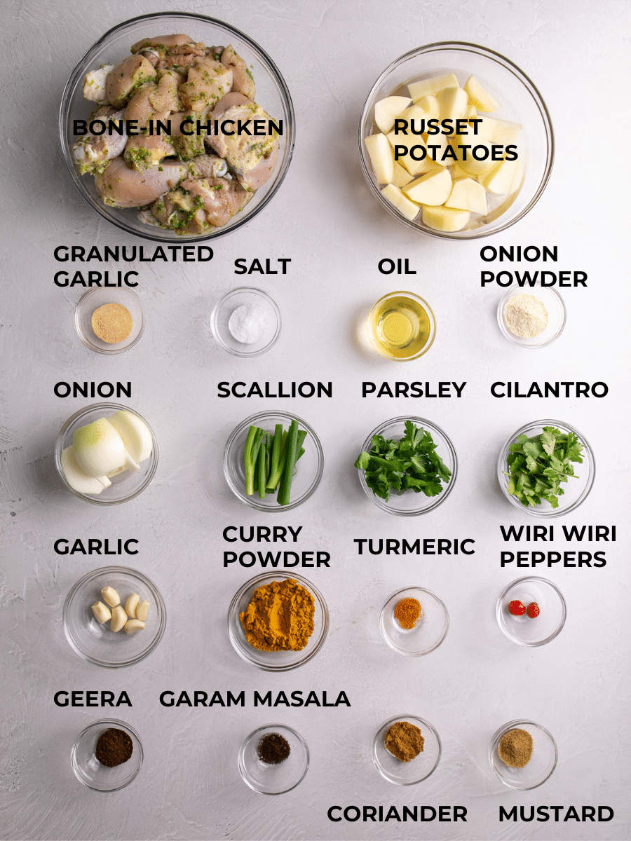 Ingredients for Caribbean Chicken curry measured out and labeled