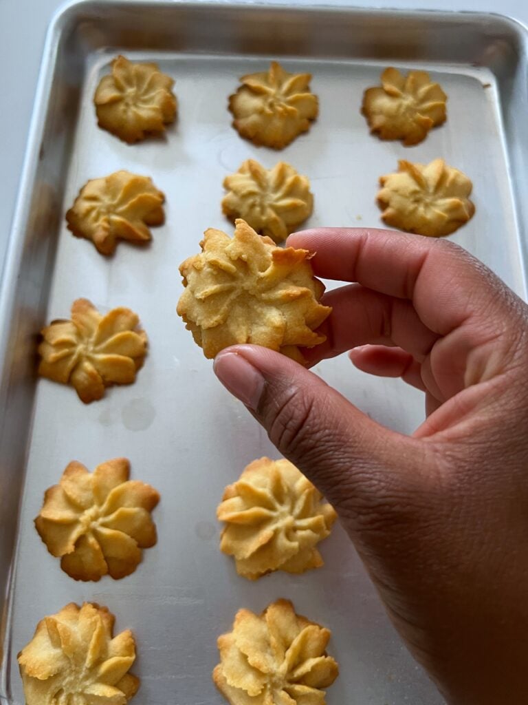 Holding a cheese rosette over a tray of other cheese rosettes