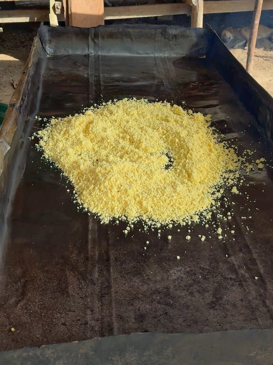 Cassava husk spread on a black top to make farine