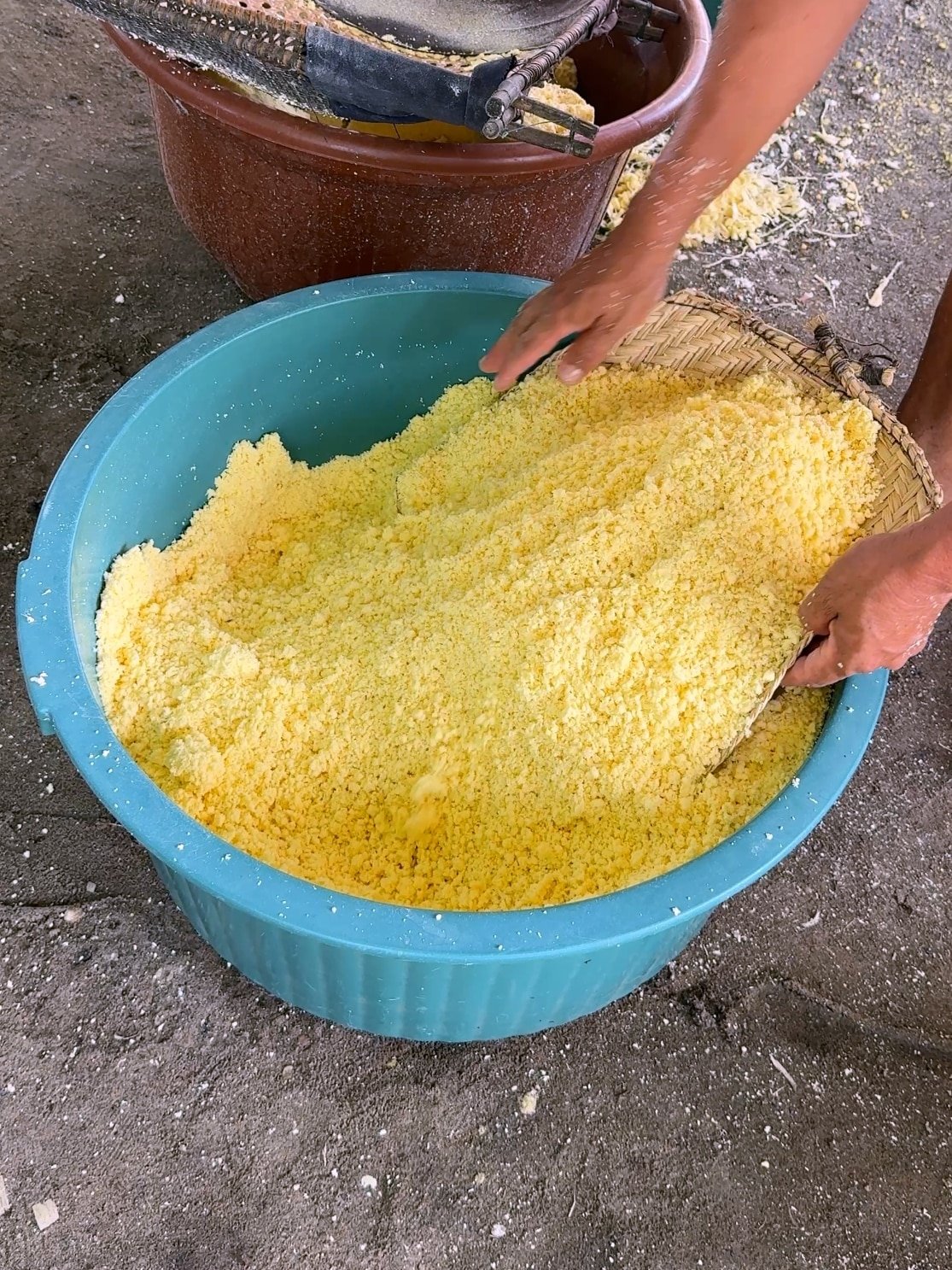 A blue bucket filled with cassava husk after it was pushed through a sieve.