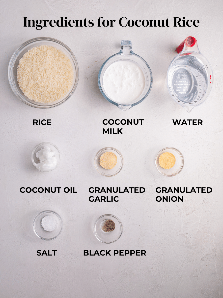 Ingredients for coconut rice measured out and labeled: rice, coconut milk, water, coconut oil, granulated garlic, granulated onion, salt, and black pepper.
